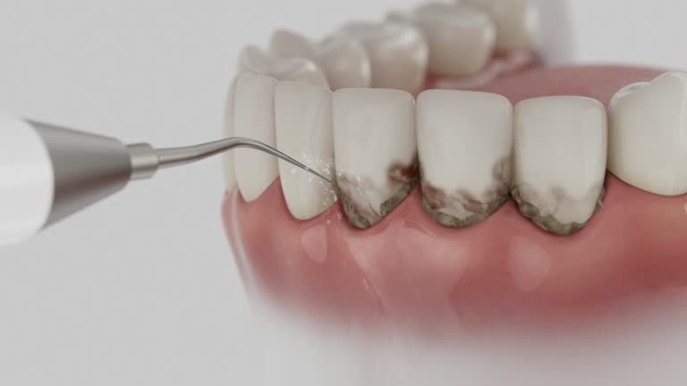 Reliable Dental contractor in Florida City, FL by Dentist Open Now